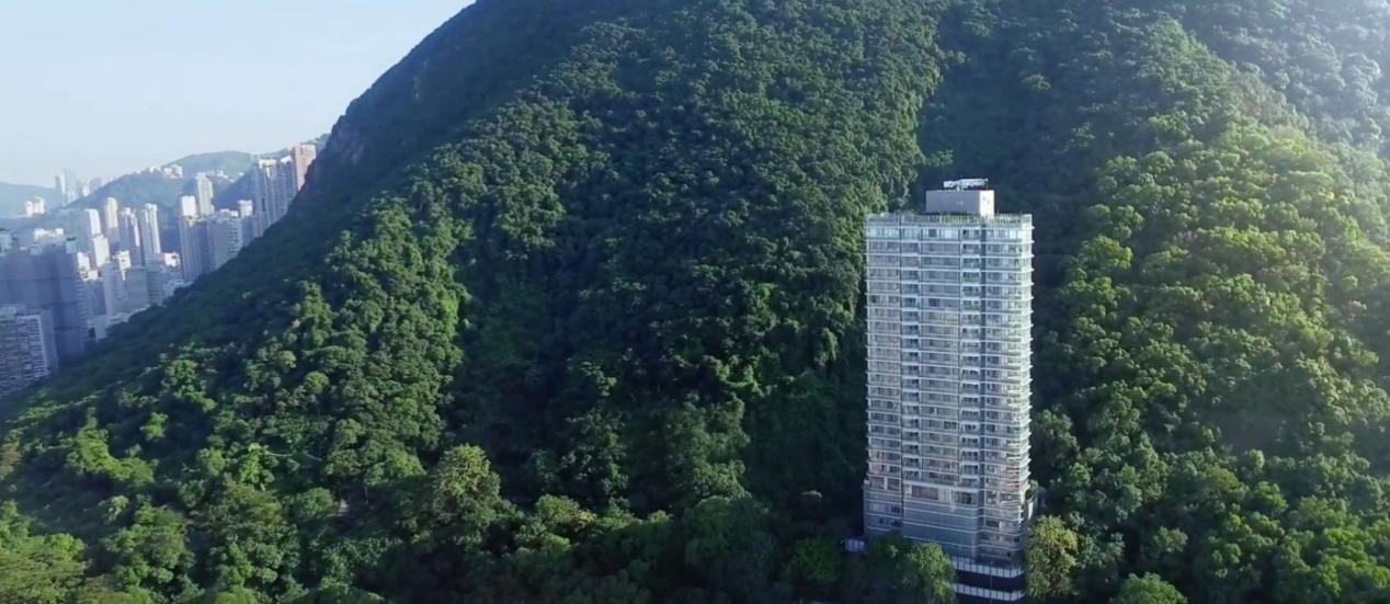 香港·半山 【尚璟】