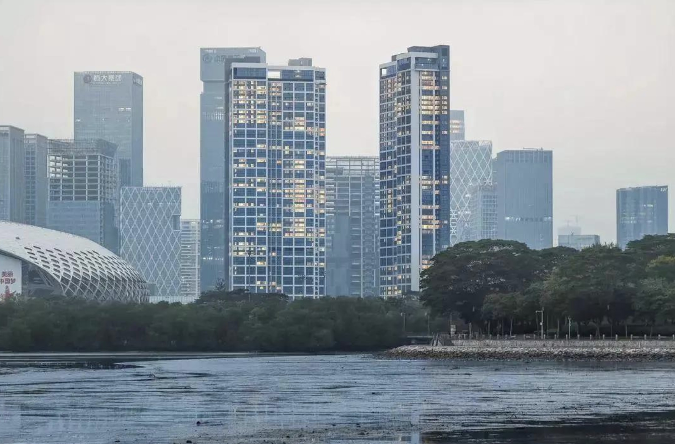 华润深圳湾·悦府一期